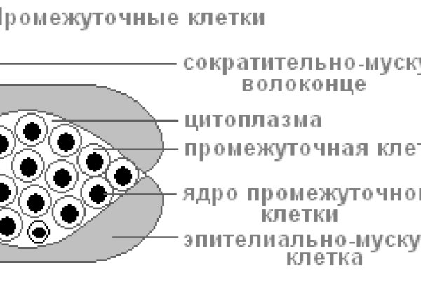 Кракен порошок