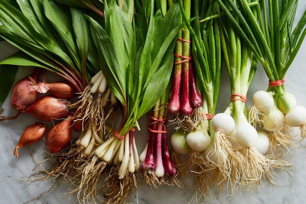 Что такое кракен маркетплейс курительный смесс